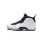 Nike Air Foamposite One Olympic (GS)